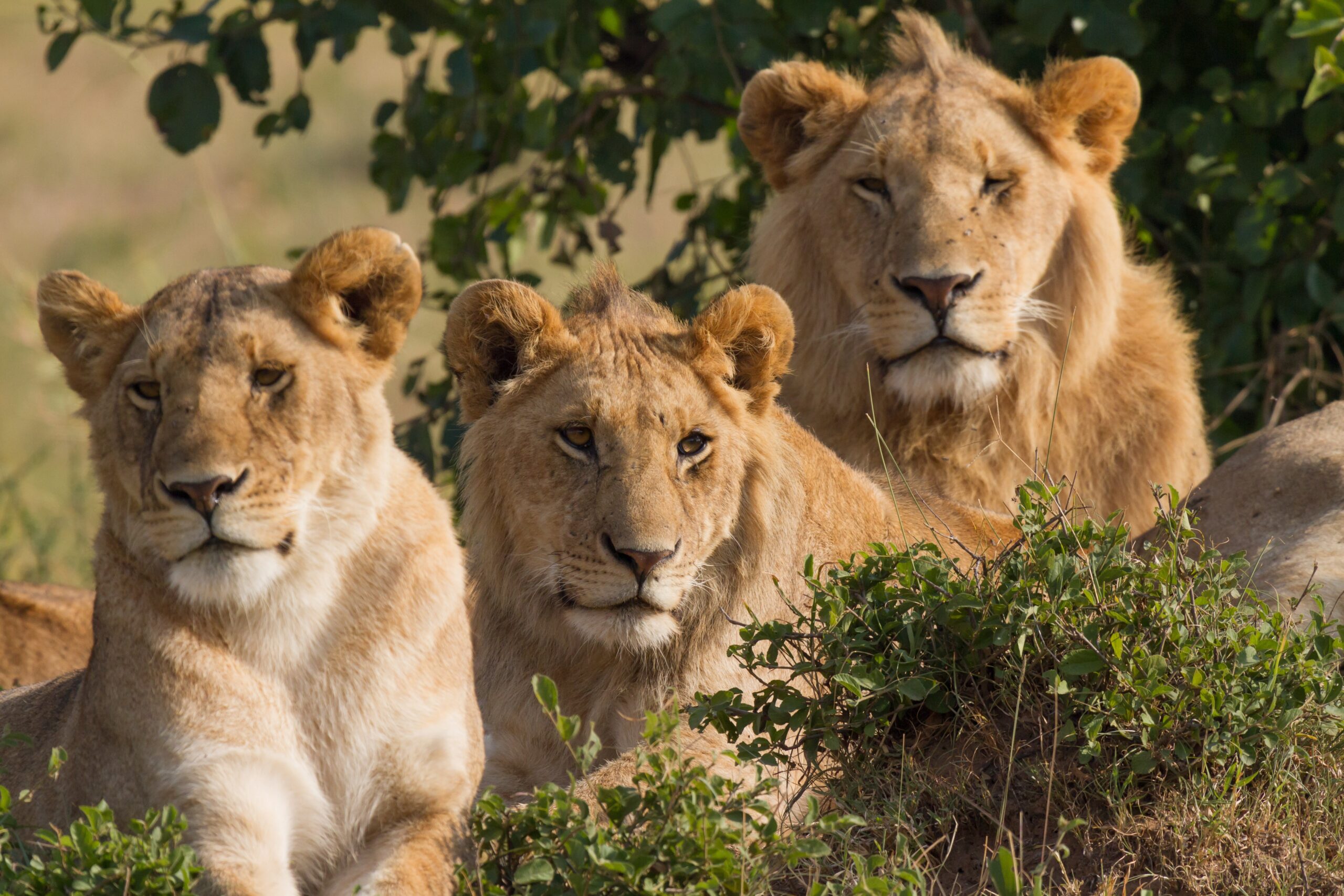Great Rift Valley with Josero Tours and Safaris